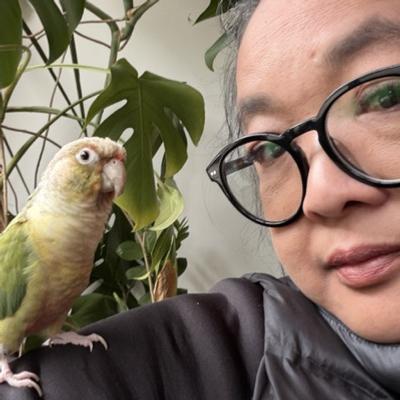 SpookyFury 🦜🍃 :baba_ghost: profile picture