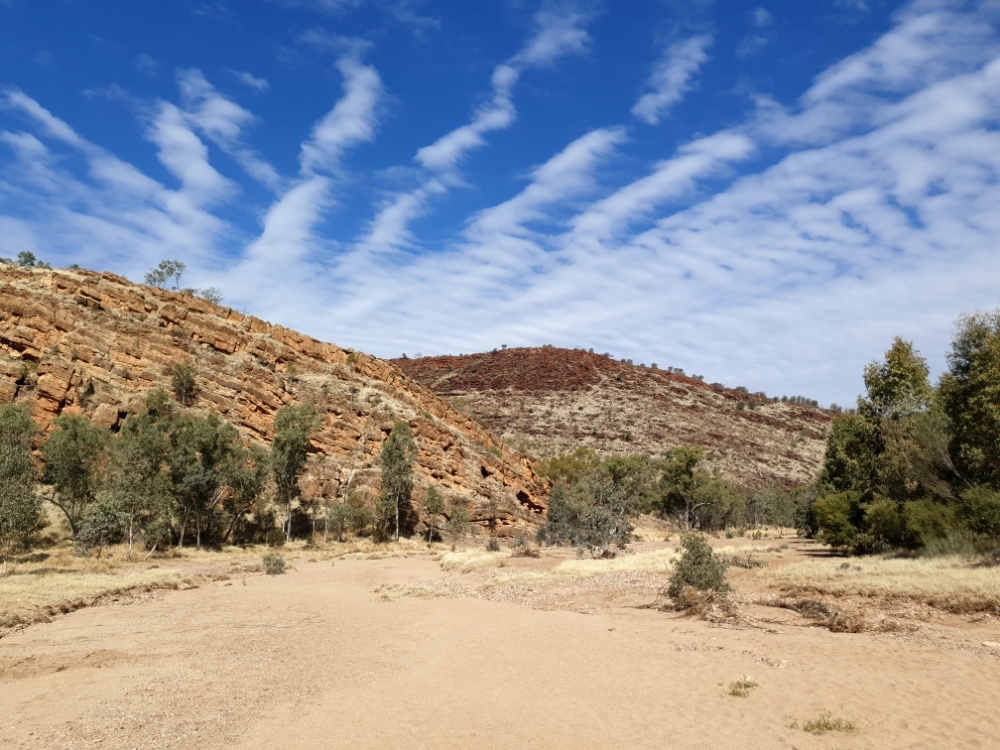 Samosthenurus's profile header