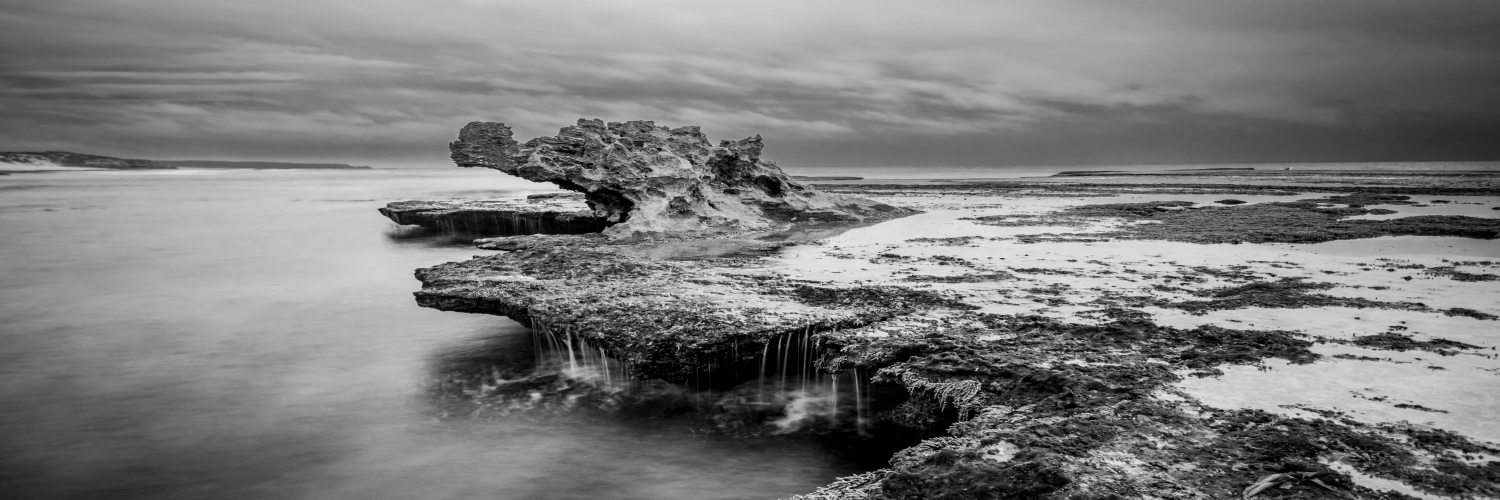 tlwvision's profile header