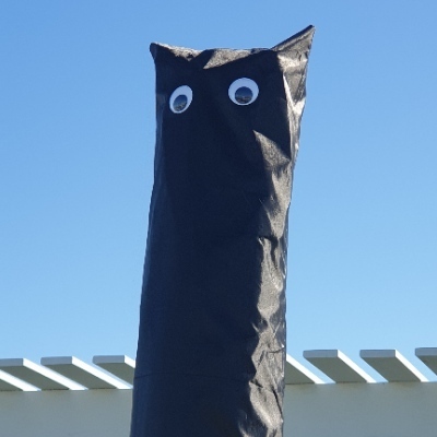 tristangoode