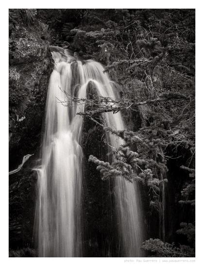 Black and white photograph of a waterfall, the water appears smooth as it cascades down over rocks, contrasting against the darker tones of rock and vegetation. From the right hand side appear the branches of a fir tree, partially obscuring the view of the waterfall.