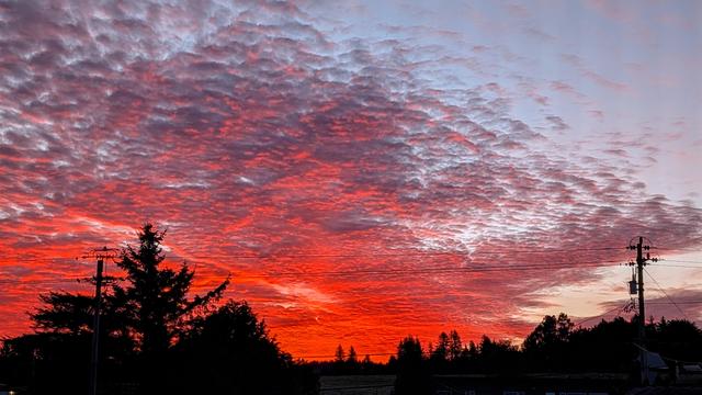 Bright red sunrise with dark trees and power poles. The clouds are broken.