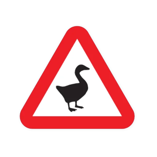 goose_027