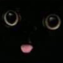 :blepcat: