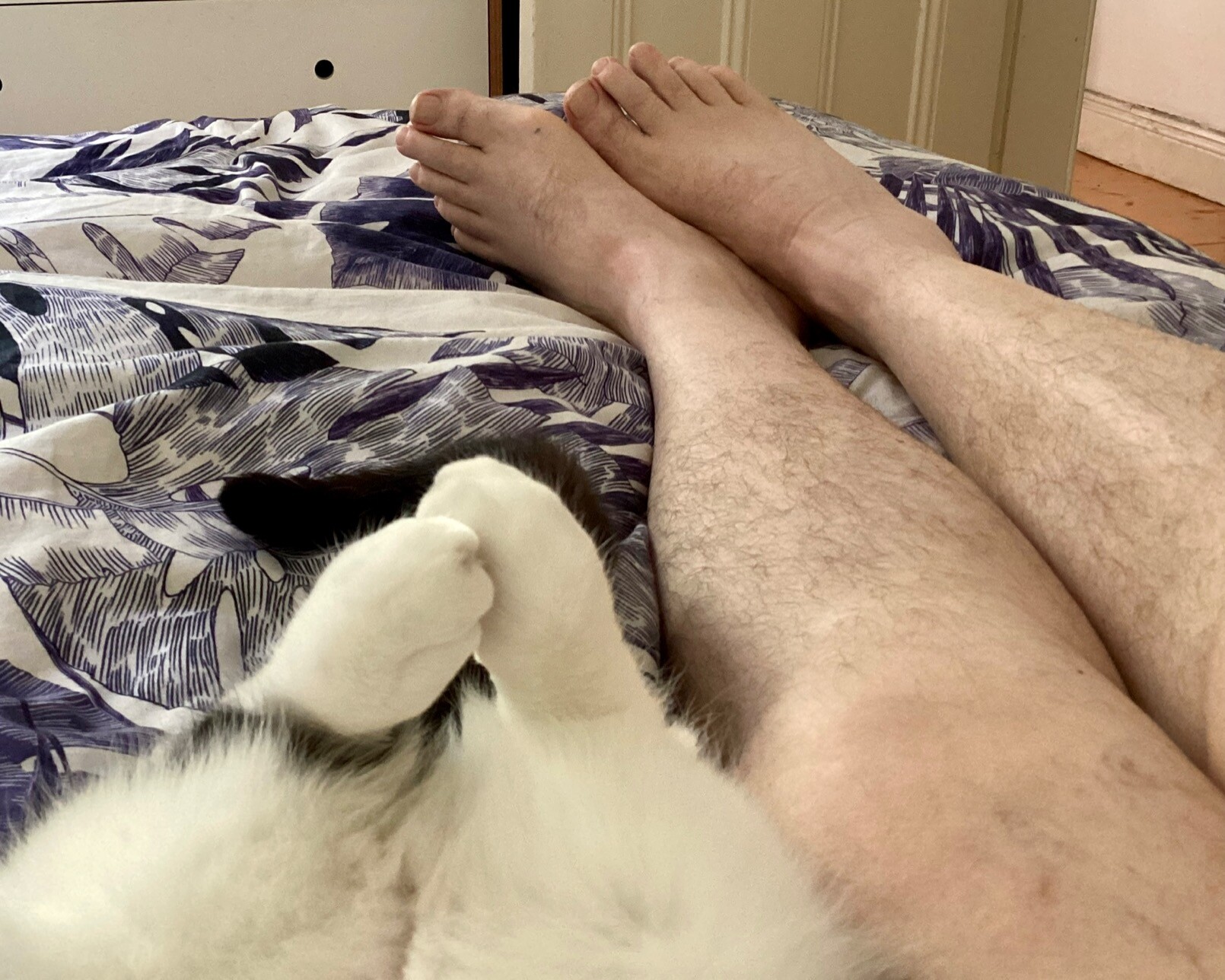 2 white furry cat legs resting beside 2 hairy people legs