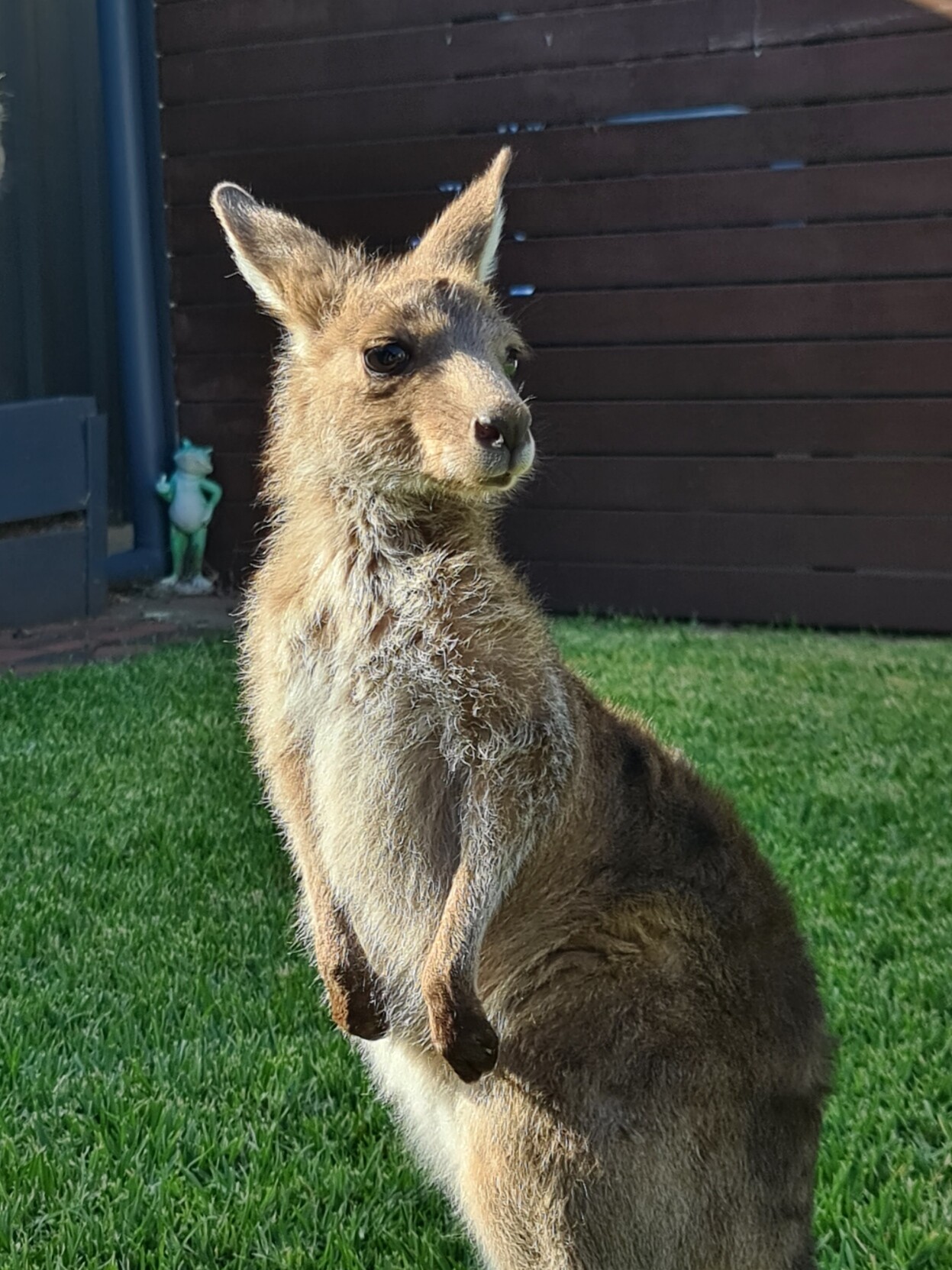 Jenny Hallam (JennyHallamaus.social) Aus.Social