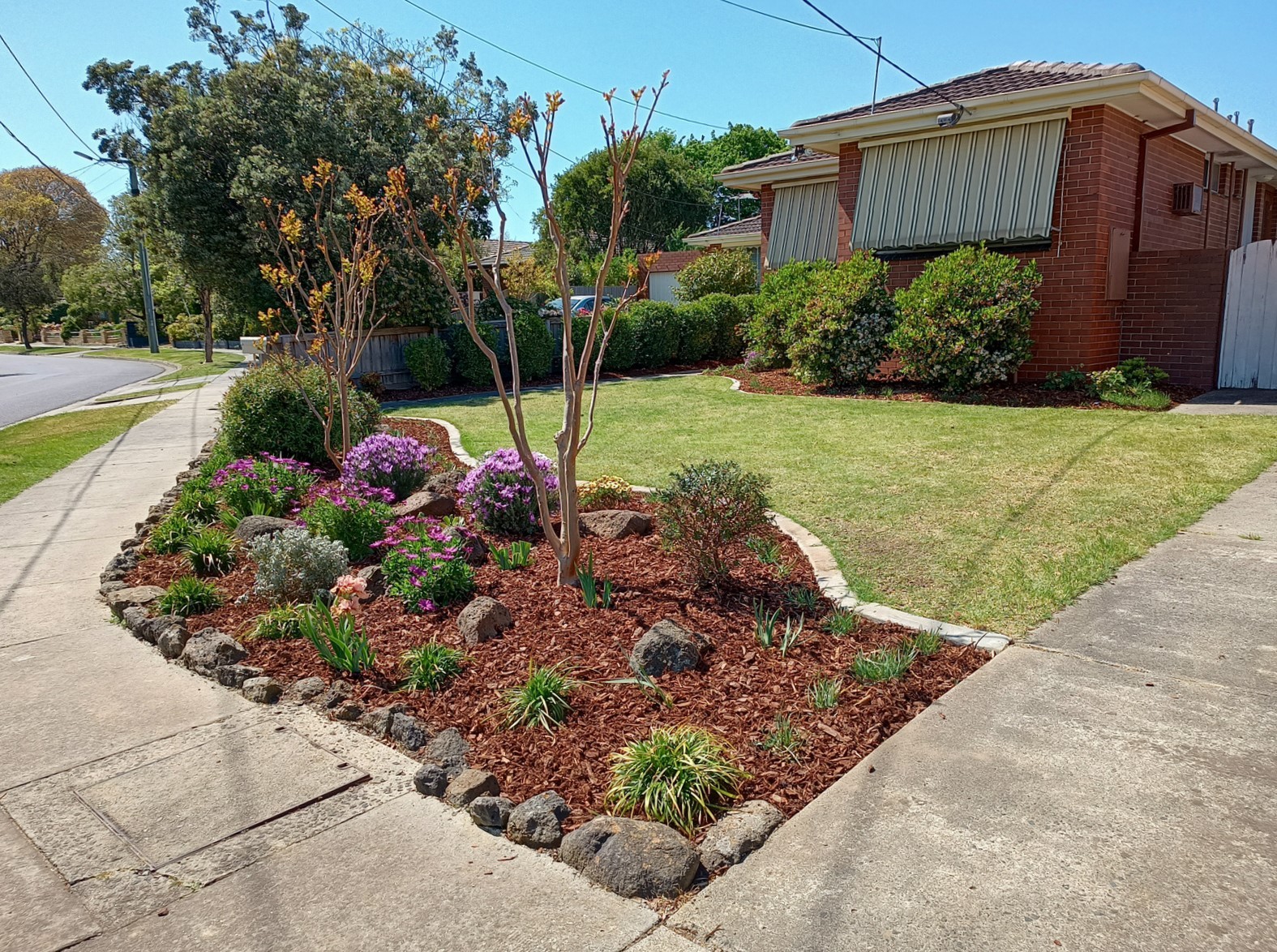 Front garden of a suburban Melbourne unit, nice and tidy with fresh mulch applied