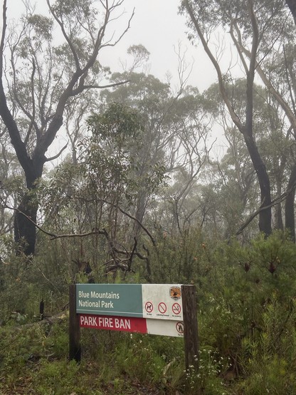 Eucalyptus trees shrouded in fog. In the foreground a sign says “Blue Mountains National Park. Park Fire Ban.