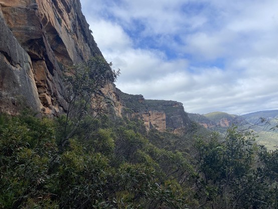A view along a line of red cliffs with dense vegetation below