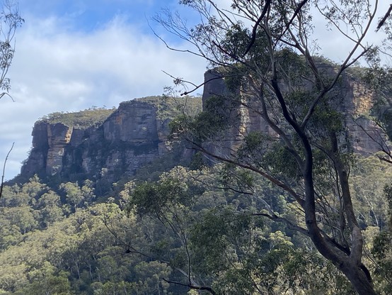 Rugged cliff face with dense forest in the foreground under a partly cloudy sky.