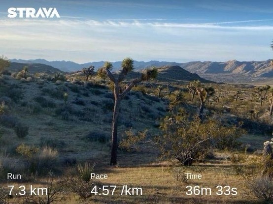 Desert landscape with Joshua trees and mountainous background under a clear sky, overlay with Strava details indicating a 7.3 km run, pace of 4:57/km, and a time of 36m 33s