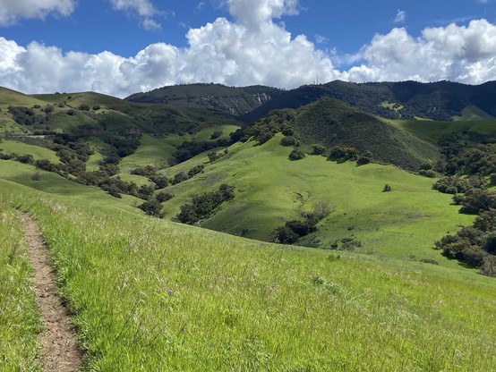 Lush green hills under a blue sky with scattered clouds, with a dirt trail running through a field in the foreground.