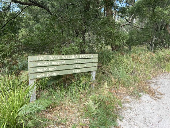 A weathered wooden sign for Two Bays Walking Track with distances to Baldrys Crossing, Boneo Road, and Cape Schanck against a backdrop of Australian bushland.