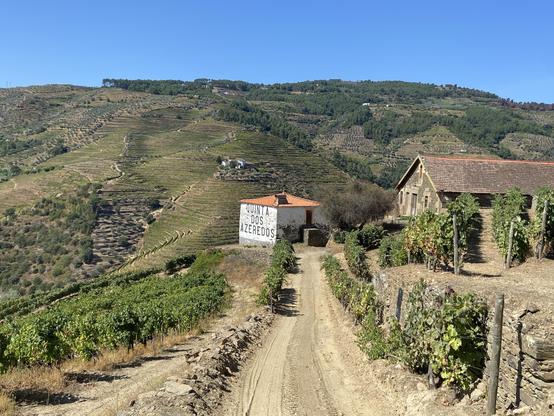 A dirt path leads through terraced vineyards toward a rustic house and a sign that reads "Quinta dos Azeiredos." Lush green hills and vineyards surround the scene under a clear blue sky.