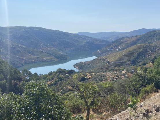 A scenic view of rolling hills and a calm river, bordered by vineyards and lush greenery under a clear blue sky.