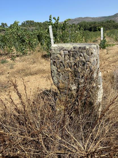 An old carved stone in front of a vineyard under blue skies