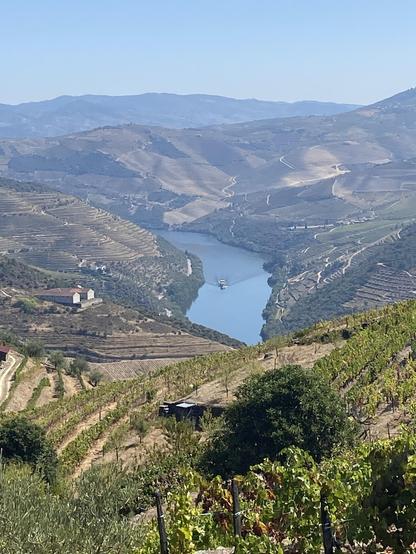 A wide river winds among hills covered in terraced vineyards under blue skies. A boat cruises up the river.