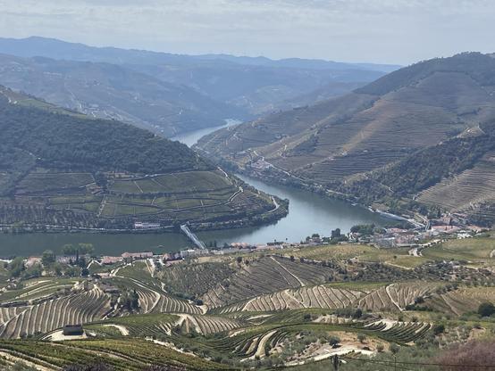 A view of a river winding through terraced hills covered in vineyards, with a small village visible along the riverbank. The landscape features varying shades of green and brown, showcasing the agricultural patterns of the region.