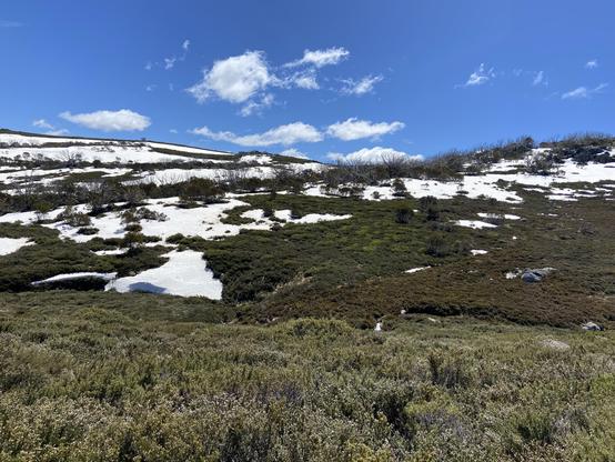 Snow and low bushes on hillsides under blue skies 