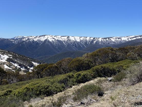 A broad snow capped mountain under clear blue skies viewed across a green valley.