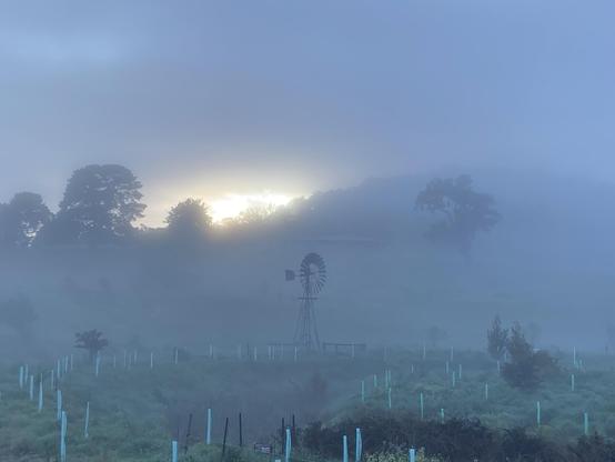 A windmill is visible across a field in fog with the sun rising behind it.