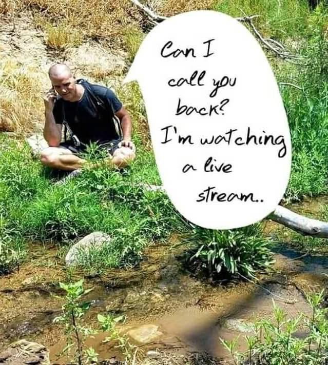 Someone sitting cross-legged on grass beside a small natural watercourse with clear, clean water bubbling by. They answer a call on their mobile device, saying “Can I call you back? I’m watching a live stream…