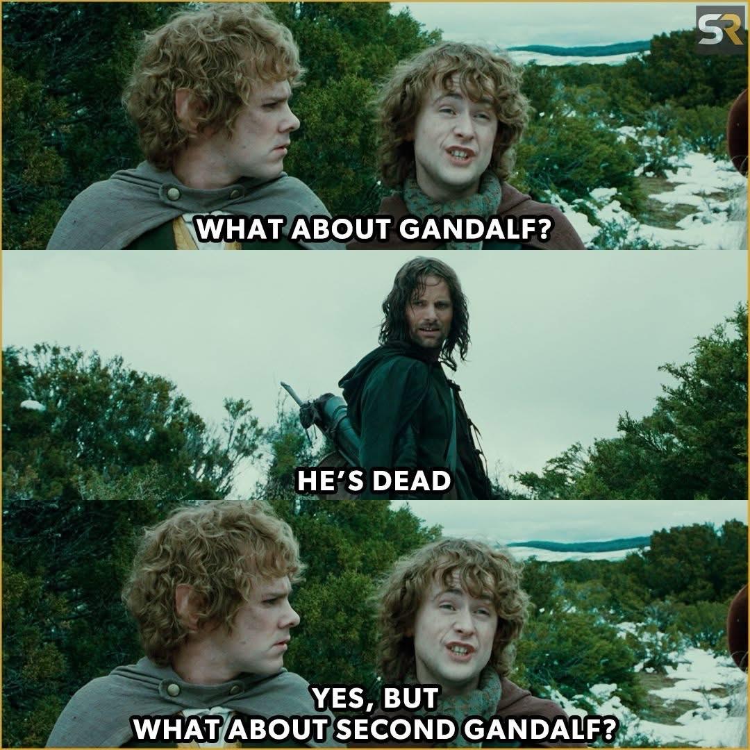 Merry and Pippin pause briefly to ask Aragorn a question. 

Pippin: What about Gandalf?

Aragorn: He’s dead. 

Pippin: Yes, but what about second Gandalf?

Credit: u/Spicyw--ner_69