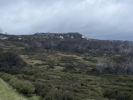 A distant row of hills flecked with snow with scrubland in front and grey skies above 