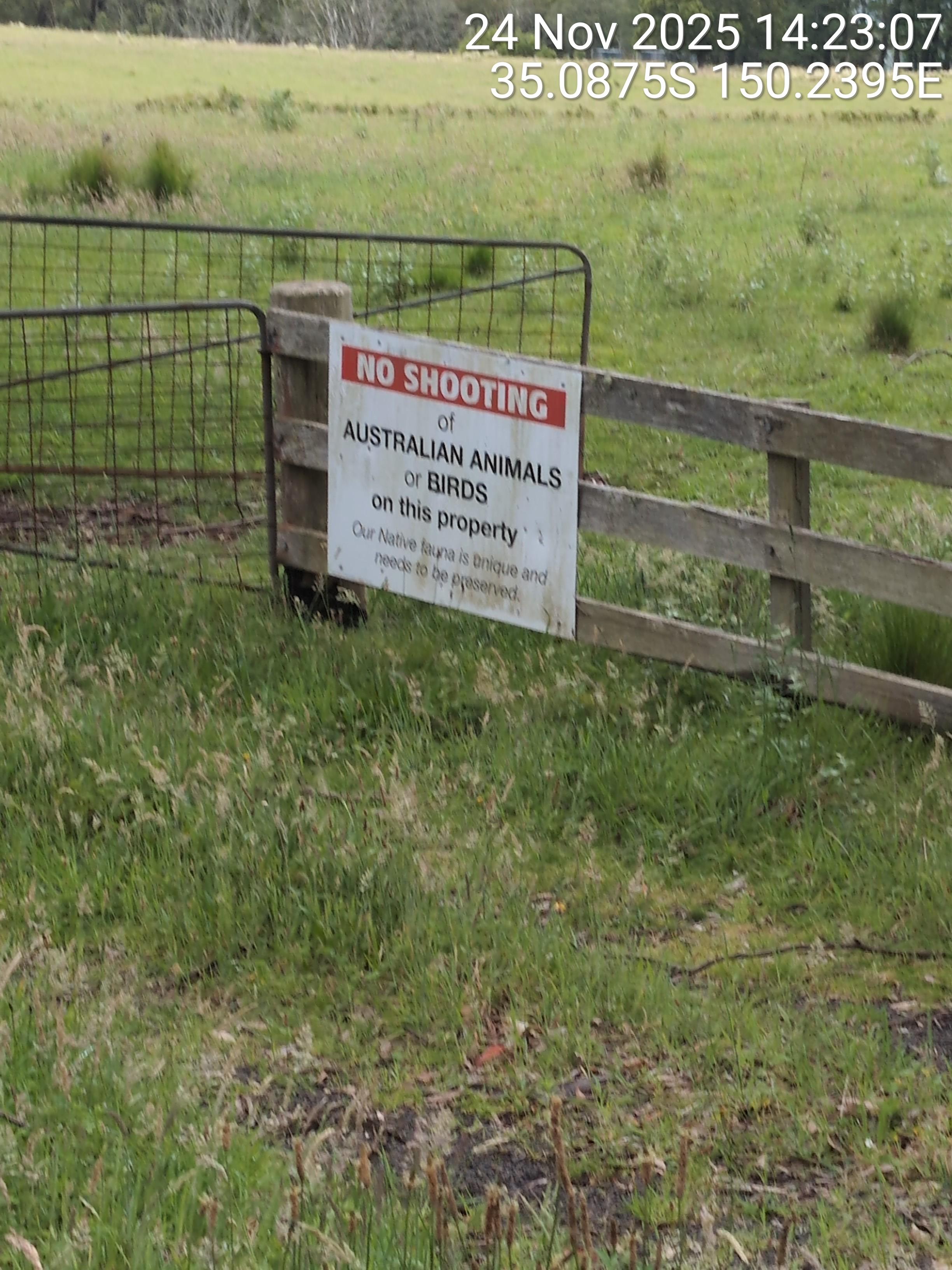 A farmer's sign advising not to shoot native fauna as they are precious and worthy of protection 