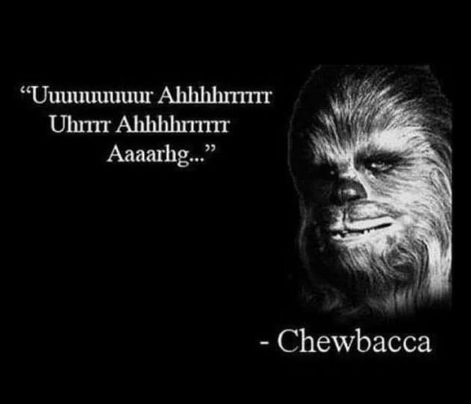 “Uuuuuuuuur Ahhhhrr
Uhrrr Ahhhhhrrrr
Aaaargh…”
- Chewbacca

[A black and white portrait photograph of Chewbacca’s lovable fuzzy face.]
