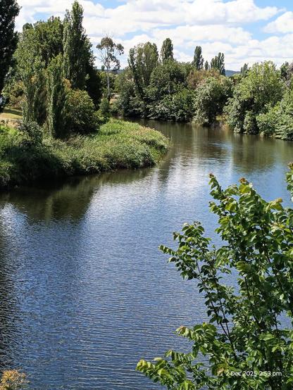 View from the suspension bridge: peaceful river, edged with trees of different shades of green, blue sky with fluffy white clouds