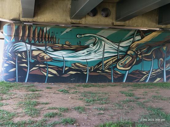 Gorgeous mural under the road bridge near the river
