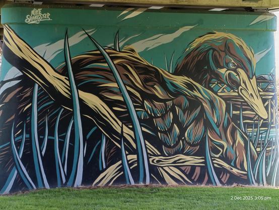 Gorgeous mural under the road bridge near the river