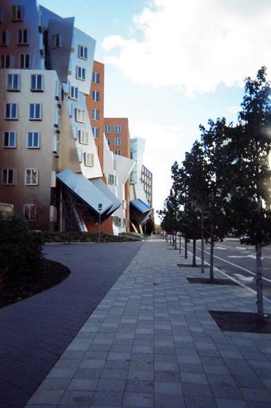 A view along a paved footpath with trees on the side of the road and a cluster of modern buildings jumbled along the other side of the path