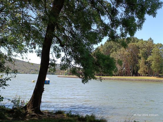 Yarralumla: trees, water, sky