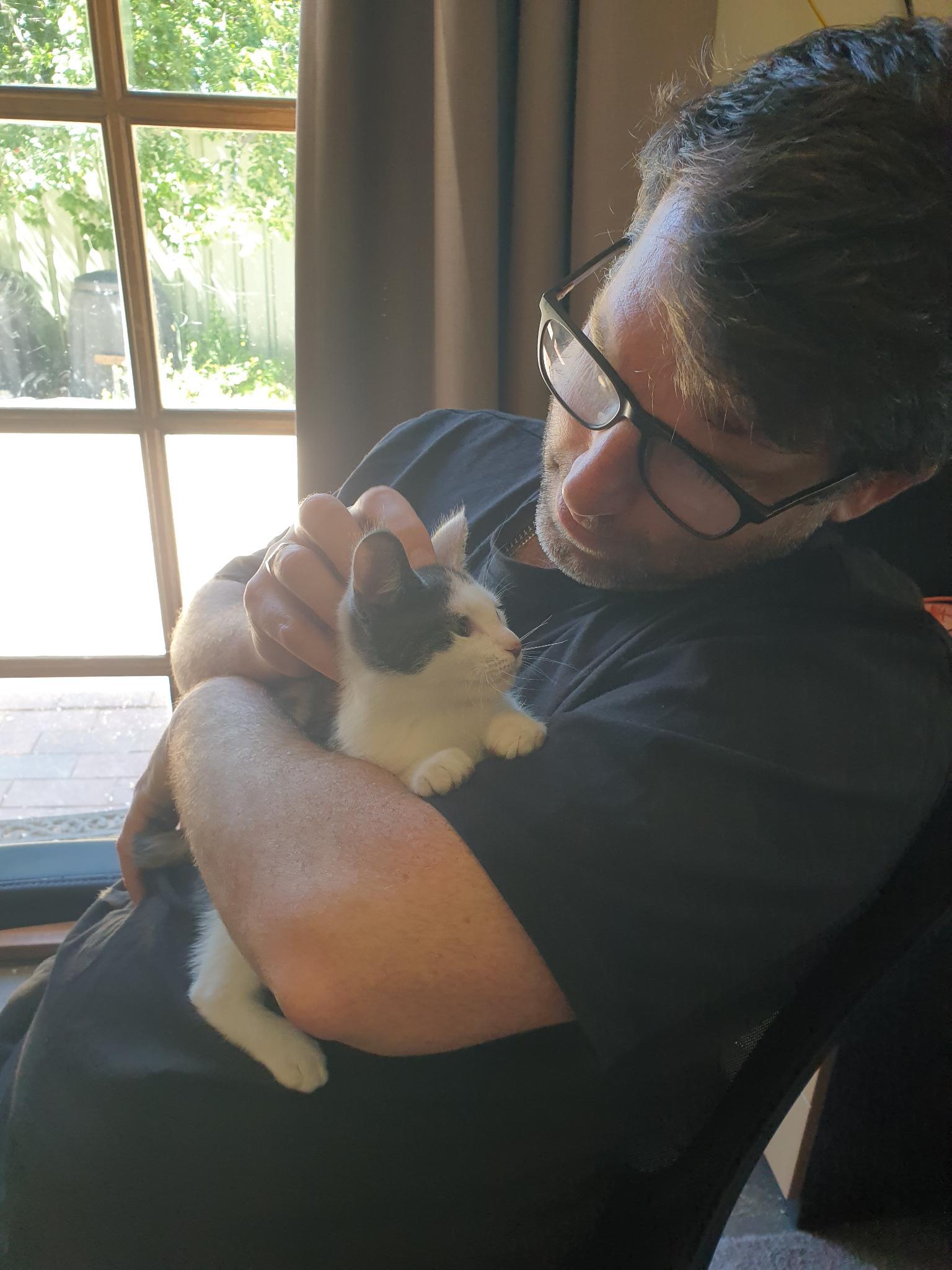 It's me looking at and holding the kitten while the kitten is looking elsewhere