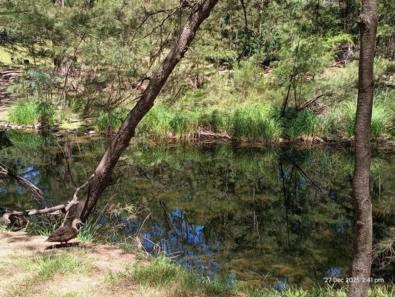 View from our lunch table