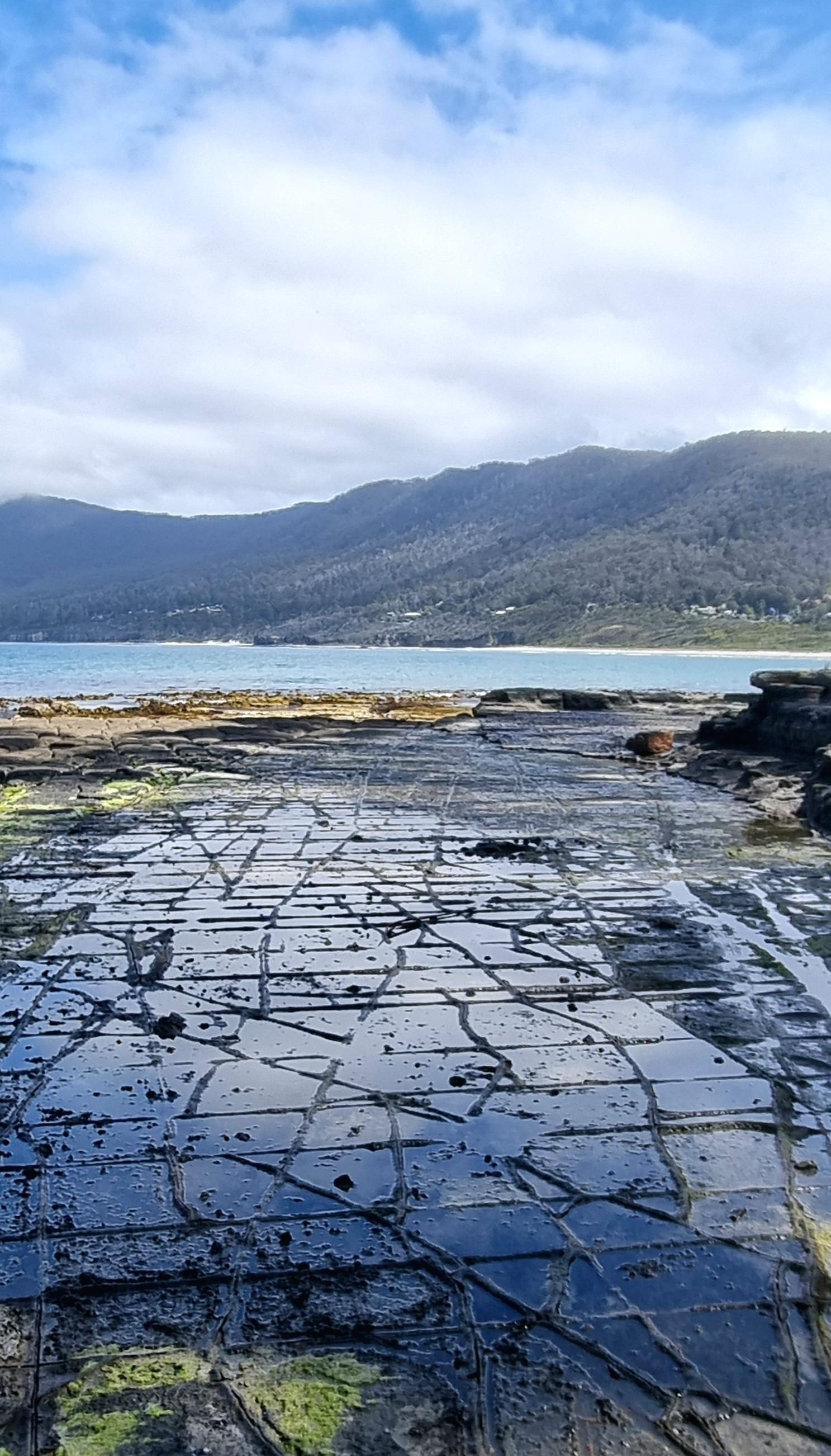 Rocks on the seashore divided into a tile like pattern. There is some residual water sitting in the tesselated rocks reflecting blue skies and white clouds. A light blue sea is seen in the background with hills rising behind. Some of the rocks have bright green algae on them. 