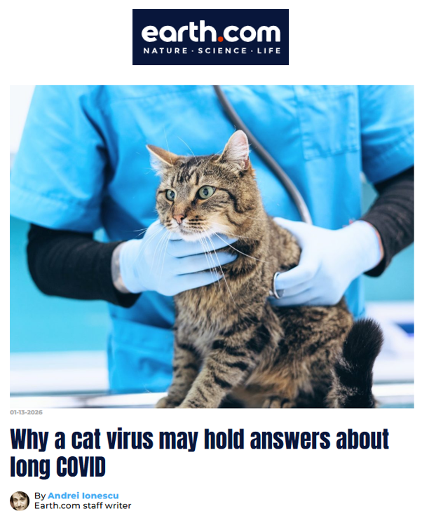 Screenshot of an Earth.com article titled “Why a cat virus may hold answers about long COVID,” dated 15 January 2026 and written by Andrei Ionescu. The image shows a tabby cat being gently examined by a veterinarian wearing blue scrubs and gloves, with a stethoscope visible, illustrating research into feline viruses and their relevance to long COVID.