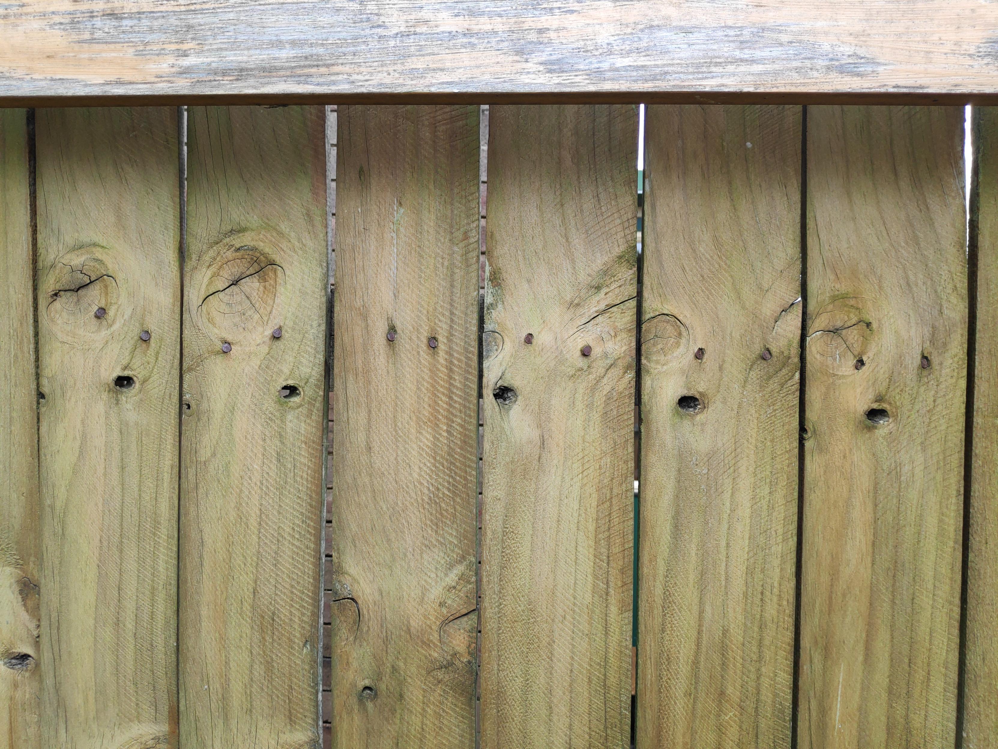 A photo of wooden fence palings. The knots in the wood resemble a row of surprised faces.
