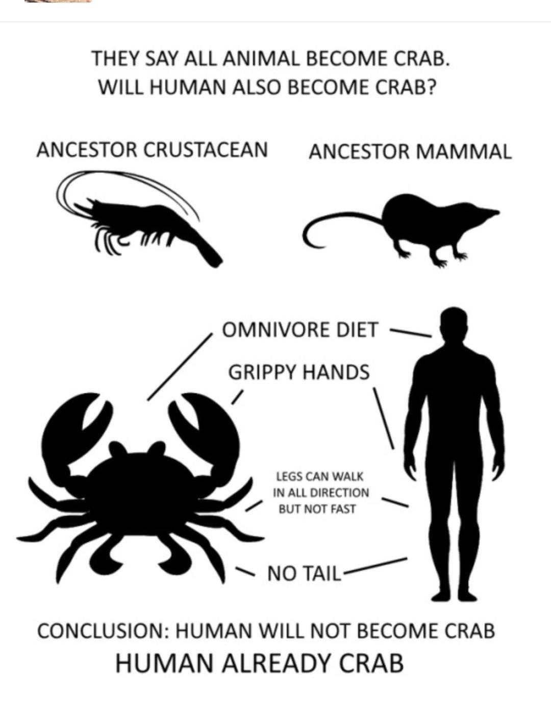 They say all animal become crab
Will human also become crab?(silhouette of lobster) ancestor crustacean
(silhouette of rodent) ancestor mammal

(side by side silhouette of crab and human) multiple text captions point to both silhouettes as follows :

Omnivore diet
Grippy hands
Legs can walk in all directions but not fast
No tail


Final Caption is:
CONCLUSION: HUMAN WILL NOT BECOME CRAB
HUMAN ALREADY CRAB