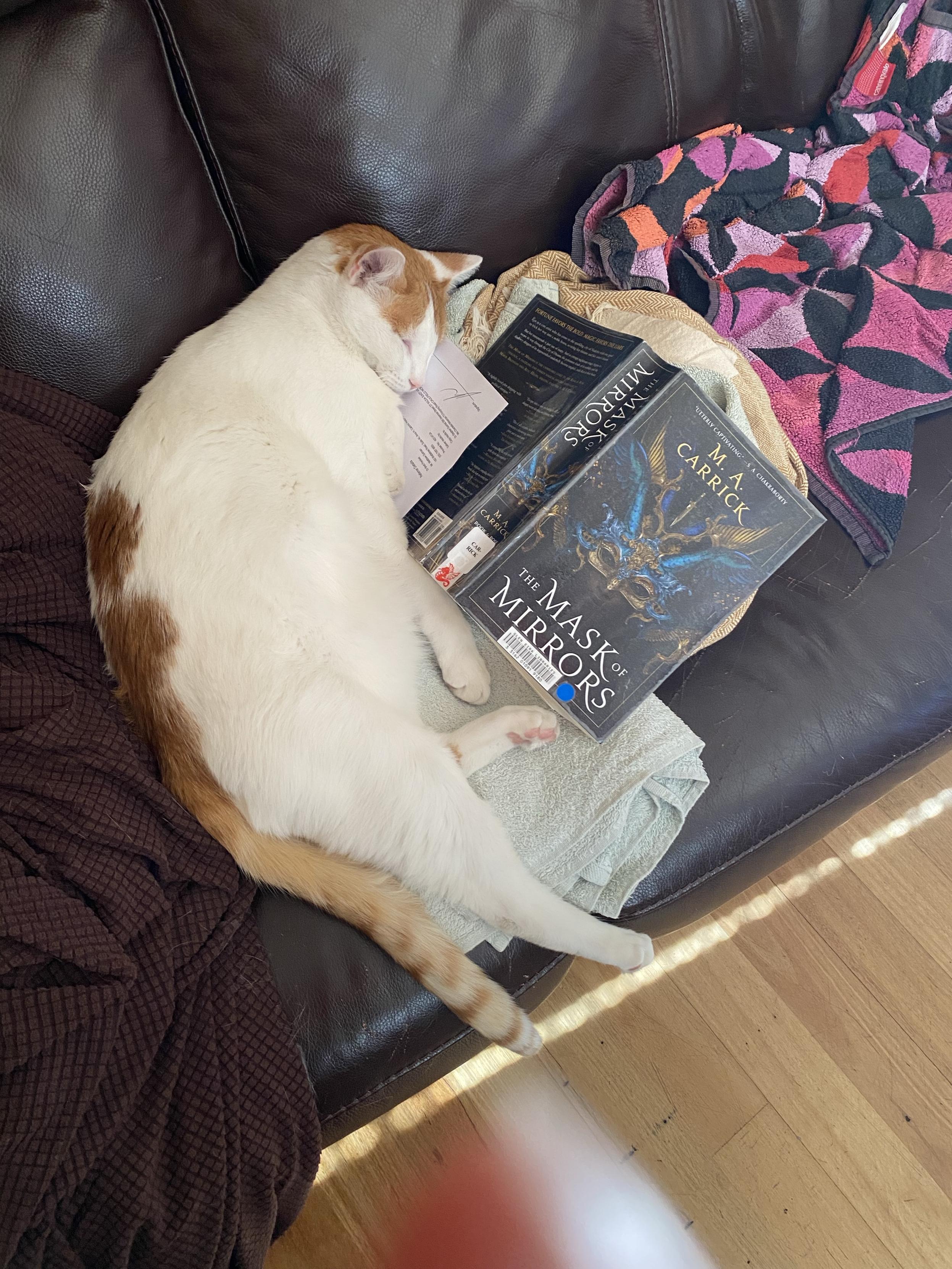 A sleeping cat with orange and white fur rests on a dark leather couch, surrounded by books and a folded towel. A colorful blanket is draped nearby, and sunlight casts a pattern on the floor.