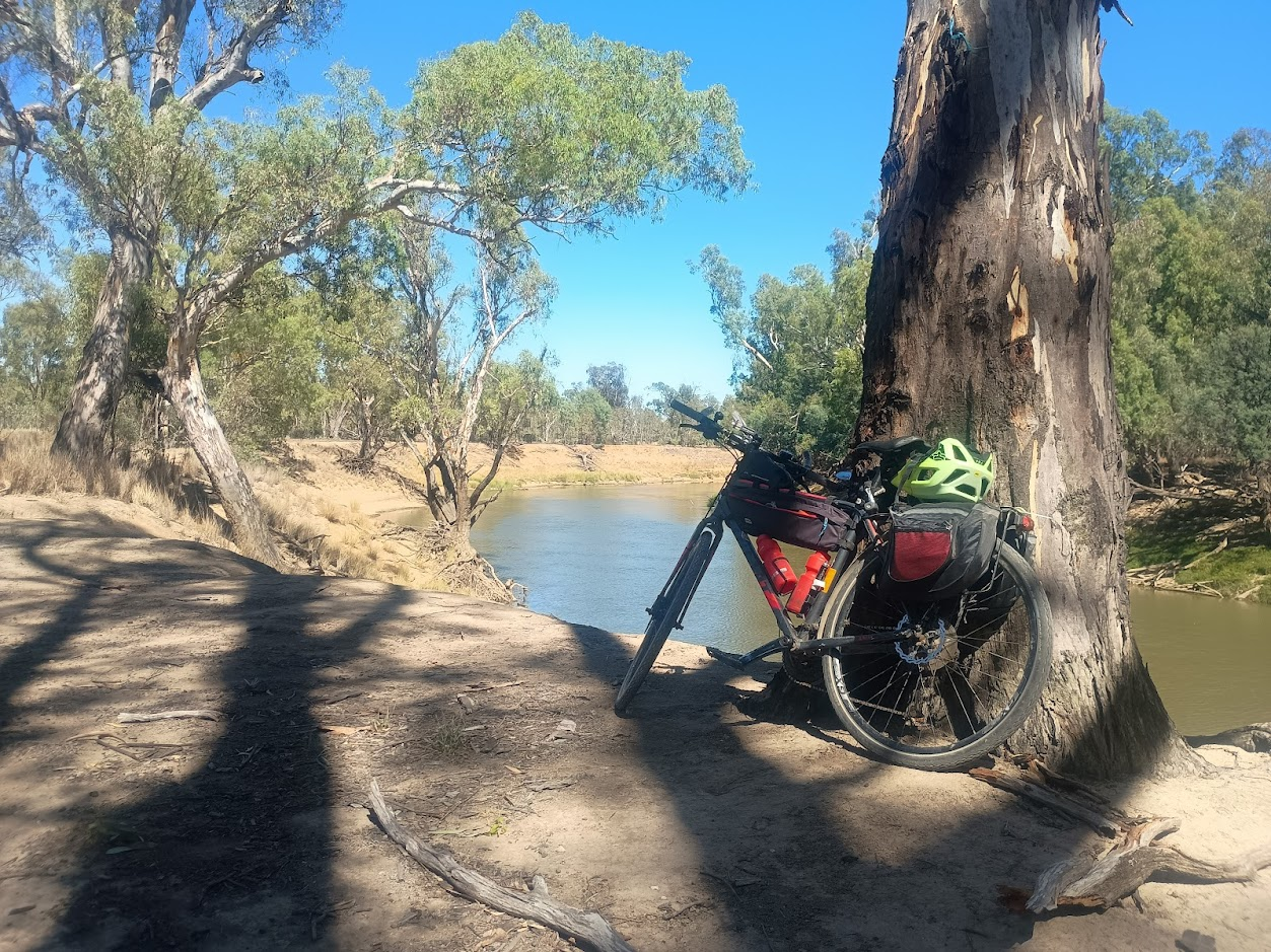 Hybrid bicycle leaning up against a tree on top of a steep high riverbank above a muddy greenish river.  It's the Goulburn, not far from Yambuna Bridge.