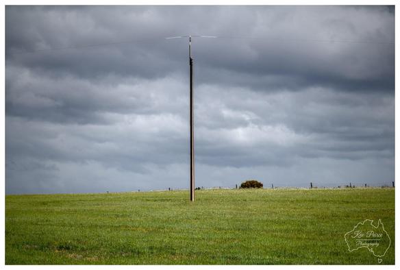 A minimalist landscape shot near Mannum, South Australia. A single, tall utility pole stands centred in a vast, vibrant green field. Above, heavy, dark grey storm clouds dominate the sky, creating a moody and dramatic atmosphere.