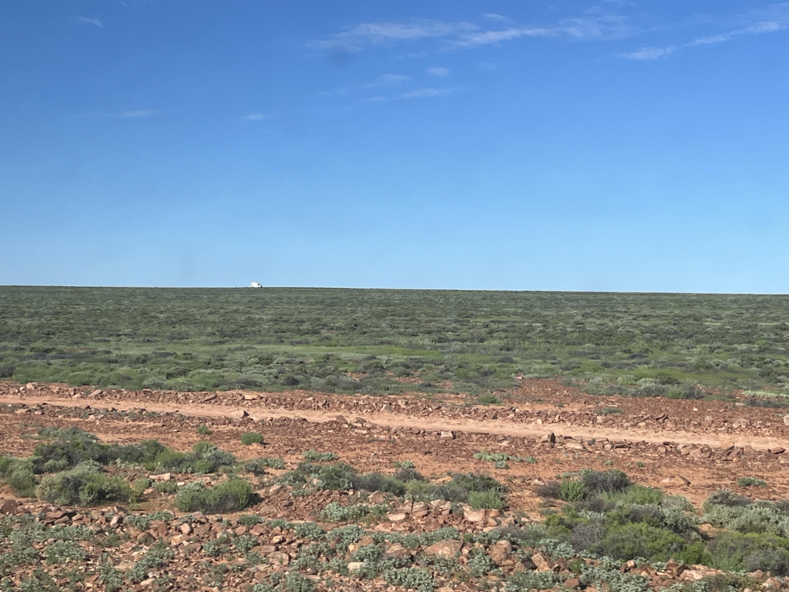 A single white truck shows up as a speck against the horizon in South Australia. The soil is red, covered by fresh grass and plants, and the sky is bright blue with only a few wisps of clouds. Nearing the end of the Nullarbor