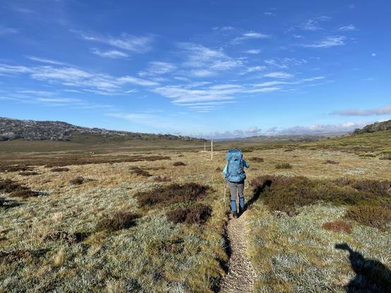 A hiker with a pack walks along a narrow path across heathy plains under blue skies and wispy clouds 