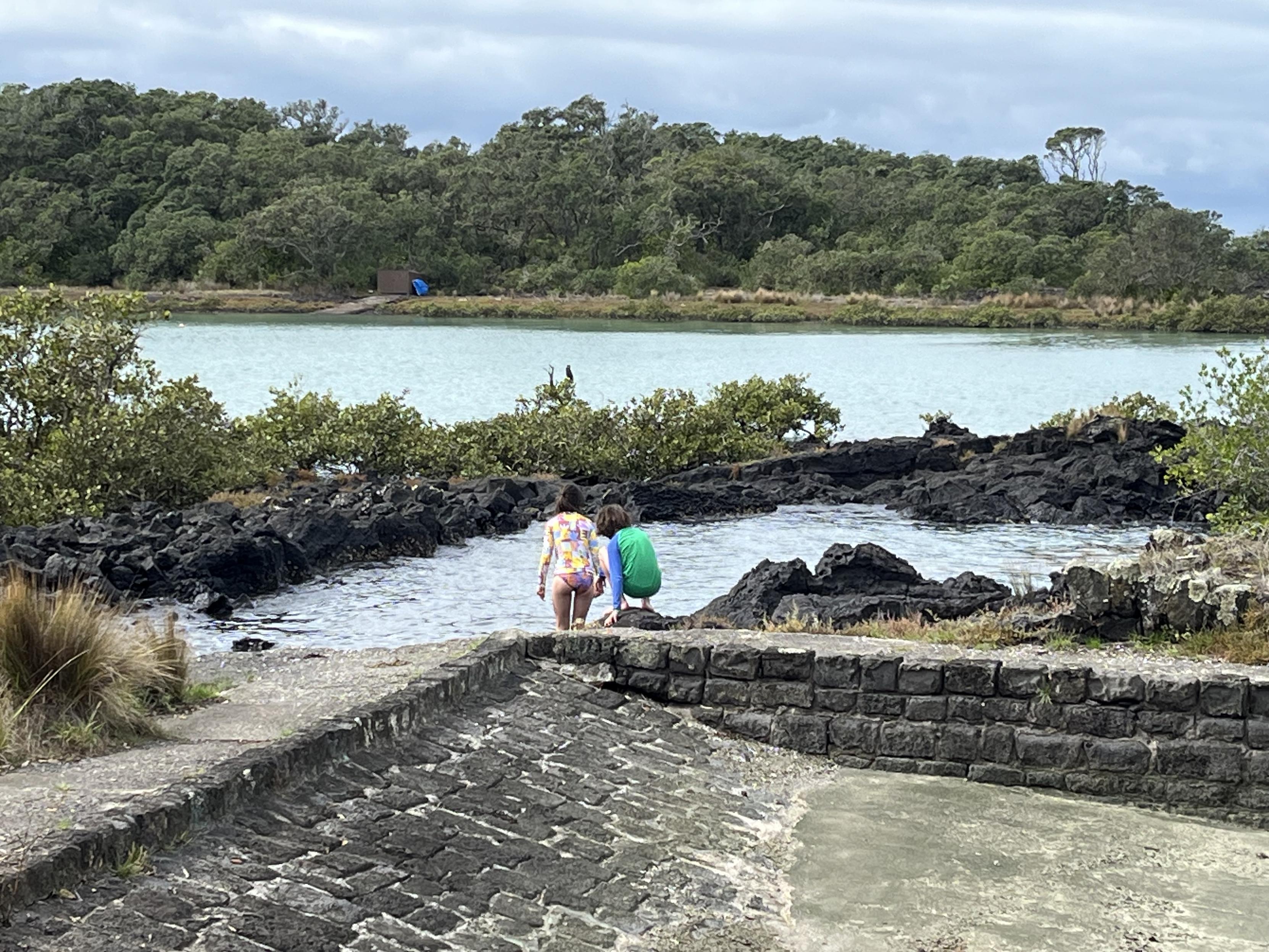 A day on Rangitoto