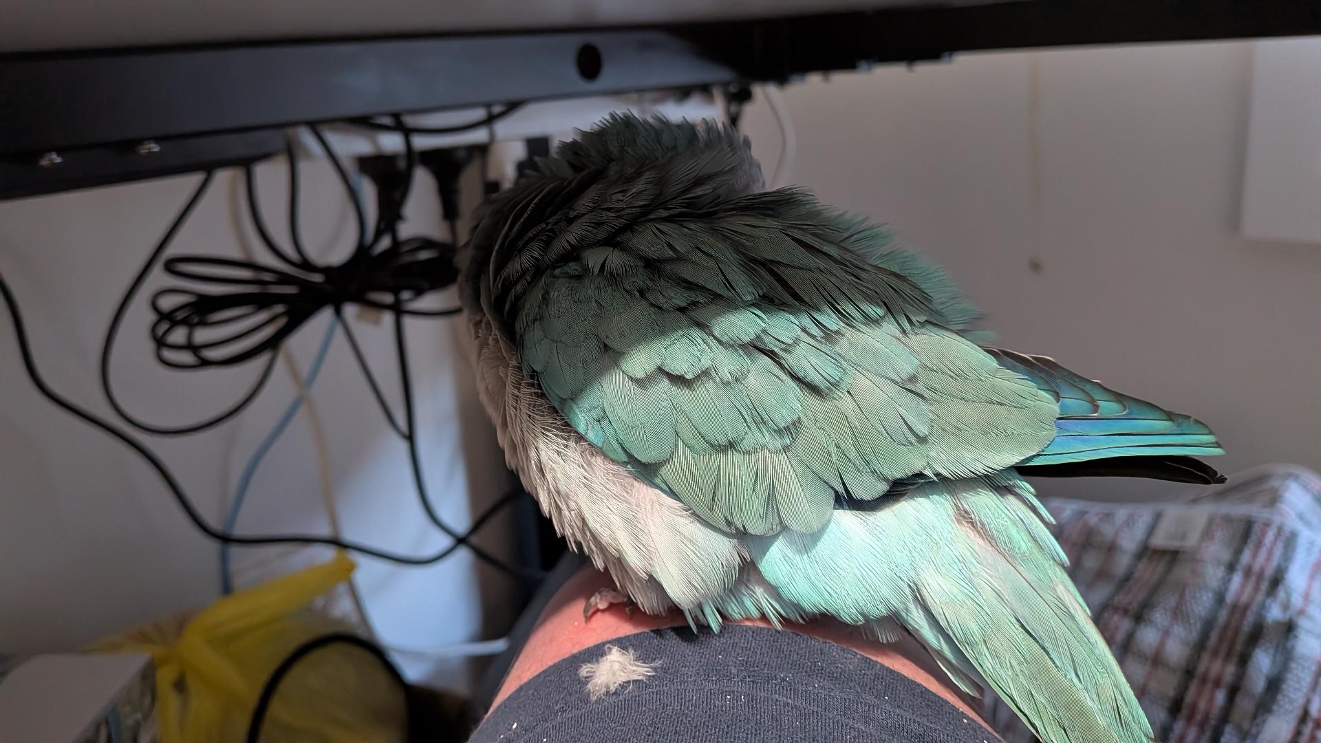 Posted media