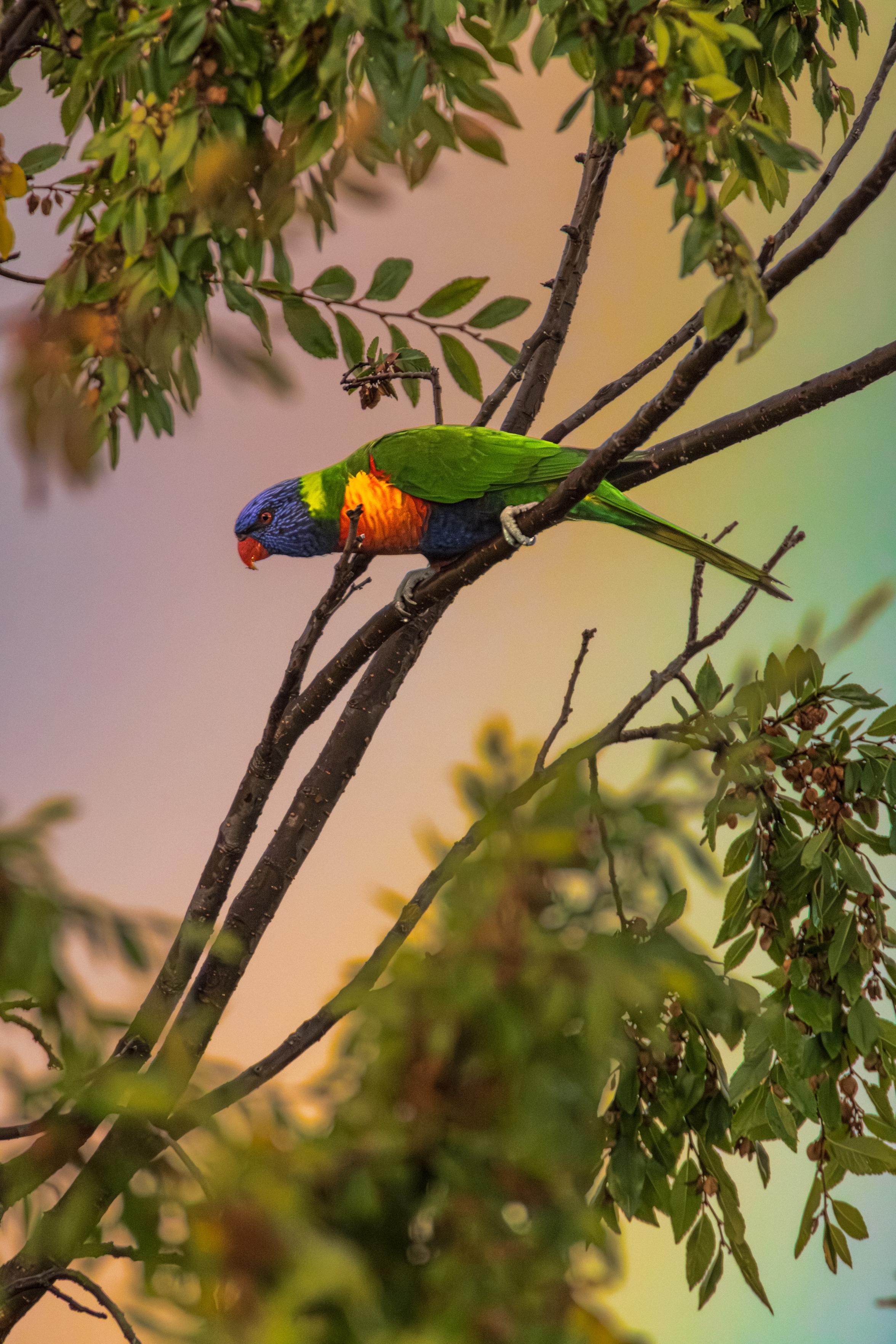 Posted media