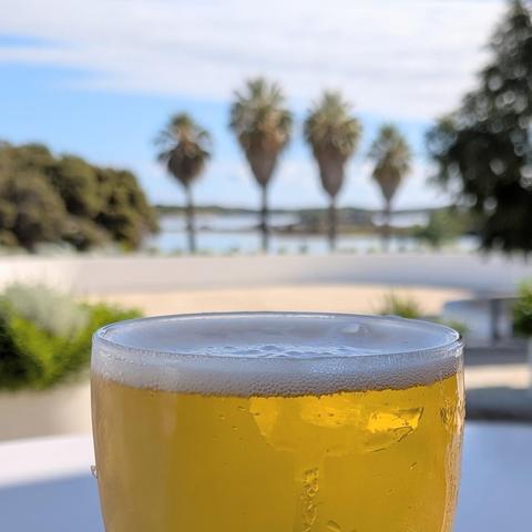 An out of focus shot of four palm trees in front of a lake and other trees. Creeping into the bottom of frame is the top of a schooner of lager in crisp, refreshing focus.